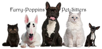 Furry-Poppins Pet Sitting & Dog Walking No Worries, We Pet- Sit your Furries.